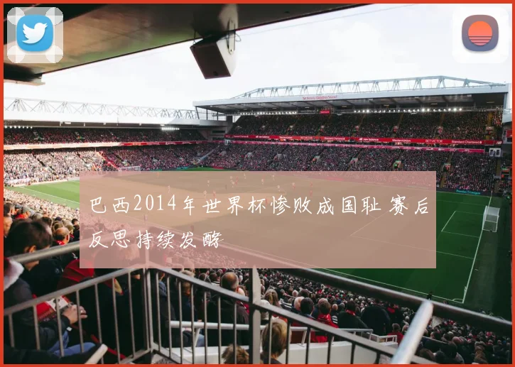巴西2014年世界杯惨败成国耻 赛后反思持续发酵